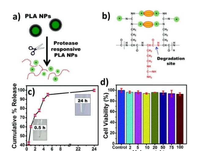 ICG/Biotin-PEG-AuNC-PCM