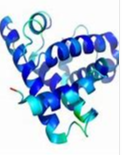 myosin