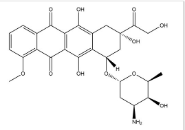 DOX-ICG-PAAP