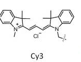 Cy3