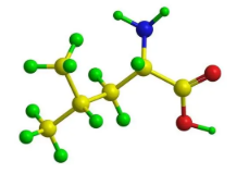 glycine-arginine- glycine-aspartic acid-serine,GRGDS