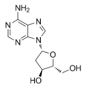 2’-脱氧腺苷