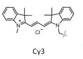 Cy3