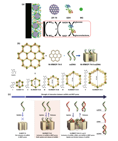 金属有机框架MOF-53NPs