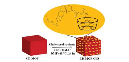 CD-MOF-CHS纳米粒