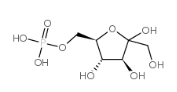  D-fructofuranose 6-phosphate