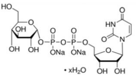 UDP-葡萄糖