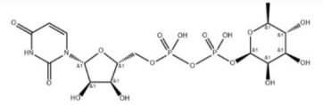 UDP-rhamnose