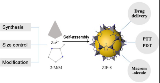 ZIF-8装载聚多巴胺(PDA),阿霉素(DOX)