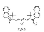 Cy5.5 