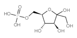 D-果糖-6-磷酸