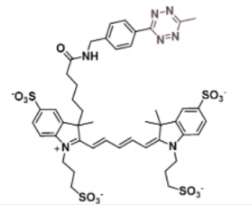 荧光染料Alexa Fluor 647 Me-Tetrazine甲基四嗪的溶解度