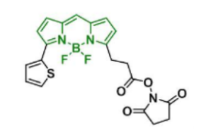 荧光染料BDP 558/568 NHS ester，CAS:150173-73-2保存条件及保存时间介绍