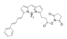 荧光染料BDP 581/591 NHS ester/NHS活化酯的溶解性如何？