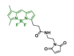 荧光染料BDP FL Maleimide  CAS:773859-49-7是什么颜色的？