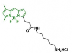 荧光染料BDP FL NH2/amine氨基，CAS:2183473-03-0的物化性质及结构式