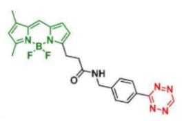 荧光染料BDP FL tetrazine/TZ四嗪是什么颜色的？