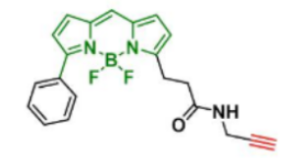 荧光染料BDP R6G alkyne炔基/炔烃，CAS:2006345-31-7的存储条件及物化参数