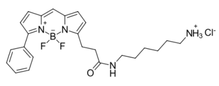 荧光染料BDP R6G amine氨基，CAS:2183473-06-3（HCl），2183473-05-2的激发波长是多少？