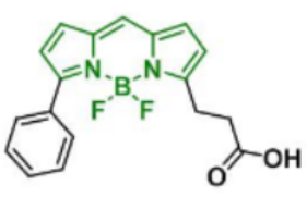 荧光染料BDP R6G carboxylic acid/COOH/羧酸羧基，CAS:174881-57-3的存储条件及相关产品