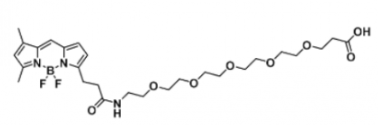 荧光染料BODIPY FL-PEG6-COOH/carboxylic acid/羧基羧酸，CAS:1649950-91-3，Ex/Em(nm) 503/509