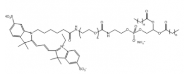 花菁染料Cy3-PEG-DSPE/聚乙二醇-二硬脂酰基磷脂酰乙醇胺，Ex/Em(nm) 550/570