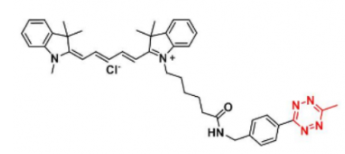 花菁染料Cy5-Methyltetrazine/甲基四嗪，吸收发射波长Ex/Em(nm)：655/678