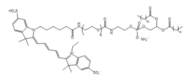 荧光染料Cy5-PEG-DSPE/聚乙二醇-二硬脂酰基磷脂酰乙醇胺的溶解度解析