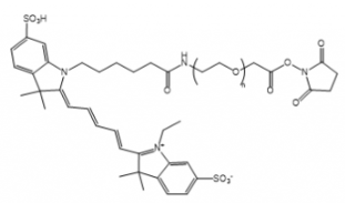 荧光染料Cy5-PEG-NHS ester/聚乙二醇-琥珀酰亚胺活化酯溶于哪些溶剂？