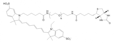 Cy7-PEG-Biotin  Cy7-聚乙二醇-生物素