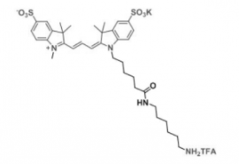 荧光染料diSulfo-Cy3 amine/NH2/氨基，二磺酸基Cy3-胺，CAS:2183440-43-7 是什么颜色的？