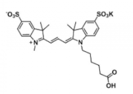 水溶性二磺酸基荧光染料diSulfo-Cy3 carboxylic acid/COOH/羧基羧酸(Methy)，CAS:1121756-11-3