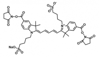 水溶性磺酸基荧光染料diSulfo-Cy5 bis-NHS ester/琥珀酰亚胺活化酯 ，溶解性：溶于water,alcohols, DMSO, DMF