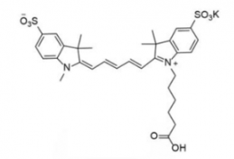 水溶性二磺酸基diSulfo-Cy5 carboxylic acid/COOH/羧基羧酸(Methyl)，CAS:1121756-16-8