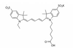 水溶性二磺酸基荧光染料diSulfo-Cy5 carboxylic acid/COOH/羧基羧酸(Ethyl)，CAS:146368-11-8，Ex/Em(nm) 646/664