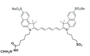 水溶性吲哚菁绿荧光染料diSulfo-ICG Hydrazide/酰肼，Ex/Em(nm) 751/830