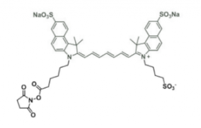 二磺酸水溶性吲哚菁绿disulfo-ICG NHS ester/琥珀酰亚胺活化酯，Ex/Em(nm) 751/830