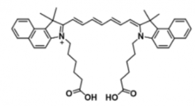 吲哚菁绿荧光染料ICG bis carboxylic acid/COOH/羧基羧酸的存储条件有哪些要求？