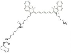 荧光染料吲哚菁绿-反式环辛烯，ICG-TCO的储存条件及溶解度解析