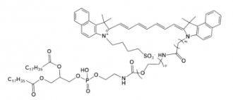 荧光染料ICG-PEG-DSPE，吲哚菁绿-聚乙二醇-磷脂 的溶解度及产品解析