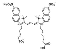 三磺酸基水溶性荧光染料trisulfo-Cy3.5 carboxylic acid/COOH/羧基羧酸，激发发射波长Ex/Em(nm) 585/610