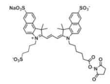 水溶性三磺酸基花青素荧光染料trisulfo-Cy3.5 NHS ester/琥珀酰亚胺活化酯，Ex/Em(nm) 585/610