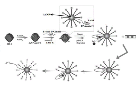 金纳米粒子包裹ZIF-8