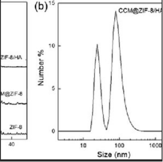 ZIF--8包载姜黄素纳米材料