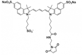 水溶性三磺酸基triSulfo-Cy5.5 maleimide/马来酰亚胺，溶解度 water,alcohols, DMSO, DMF，Ex/Em(nm) 673/691