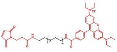 荧光染料罗丹明-聚乙二醇-马来酰亚胺，Rhodamine-PEG-Maleimide溶解度及结构式解析