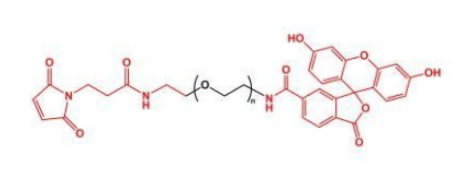 FITC荧光素标记聚乙二醇马来酰亚胺，FITC-PEG-Maleimide的溶解度及存储条件解析
