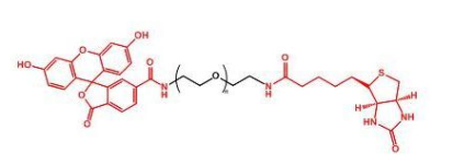 荧光素标记聚乙二醇生物素，FITC-PEG-Biotin，Fluorescent-PEG-Biotin产品性质及结构式解析