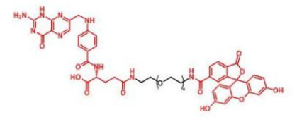 荧光素标记聚乙二醇叶酸，FITC-PEG-FA，Fluorescent-PEG-Folate产品解析及相关产品推荐