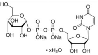 UDP-葡萄糖（UDP-Glc）
